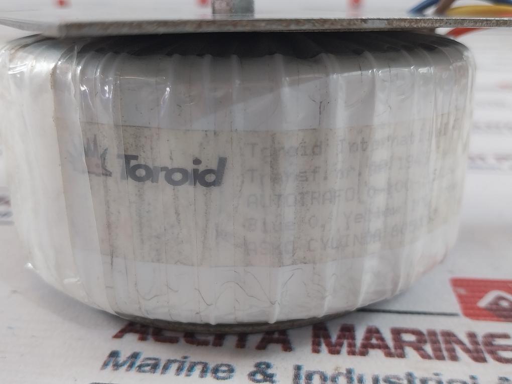 Toroid International Aa- 19450 Transformer