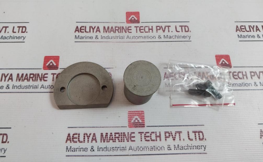 Torq Lite Rt40Cppw/S Cylinder Pivot Pins With Screw & Lock Washer