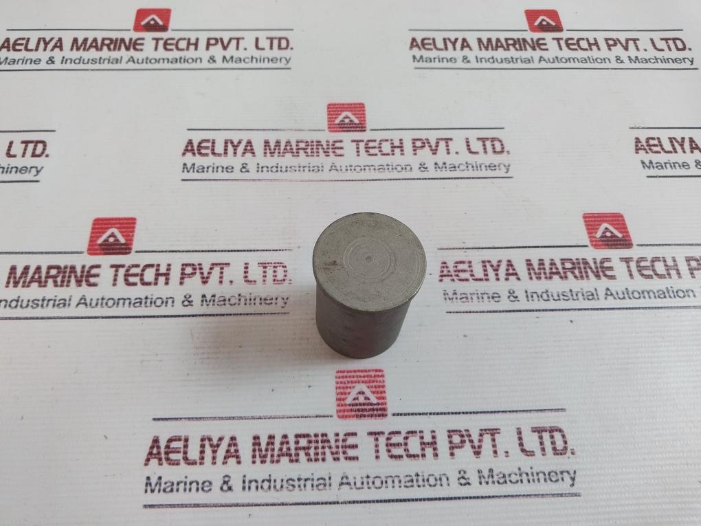 Torq Lite Rt40Cppw/S Cylinder Pivot Pins With Screw & Lock Washer