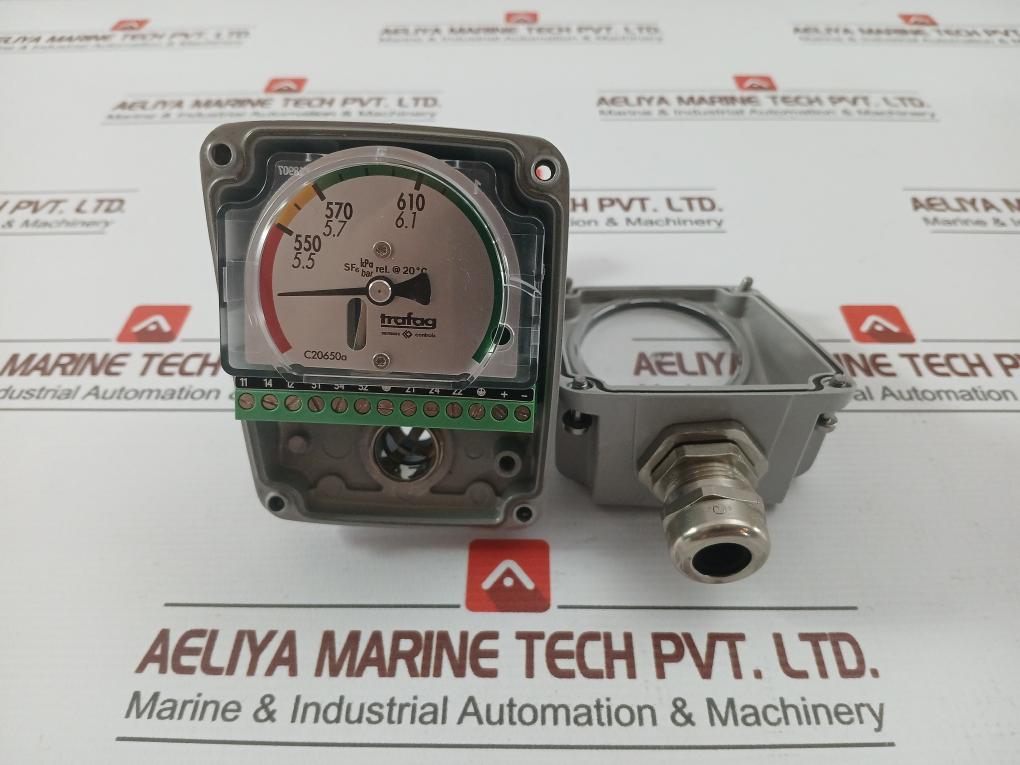 Trafag-Hybrid-Density-Monitor-8783-28-2200-210194-11