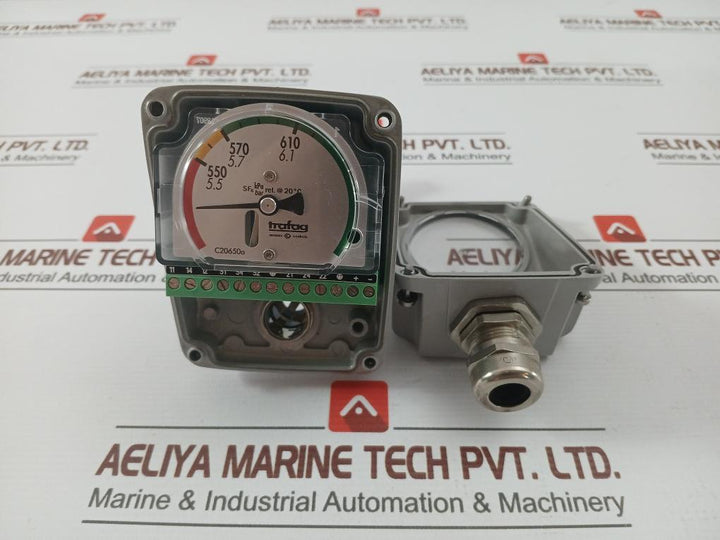 Trafag-Hybrid-Density-Monitor-8783-28-2200-210194-11