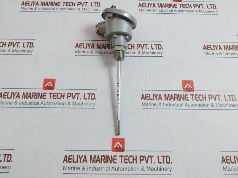 Trafag 24 Vdc Temperature Transmitter