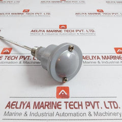 Trafag 24 Vdc Temperature Transmitter