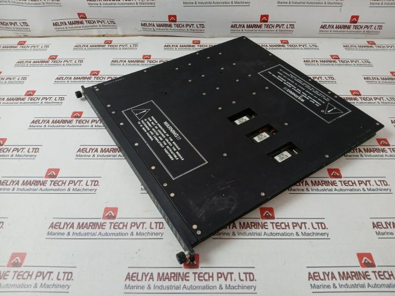 Triconex 3604E Digital Output Module 7400116-020 Rev: B13 24V Dc