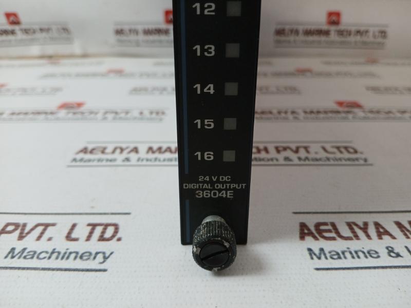 Triconex 3604E Digital Output Module 7400116-020 Rev: B13 24V Dc