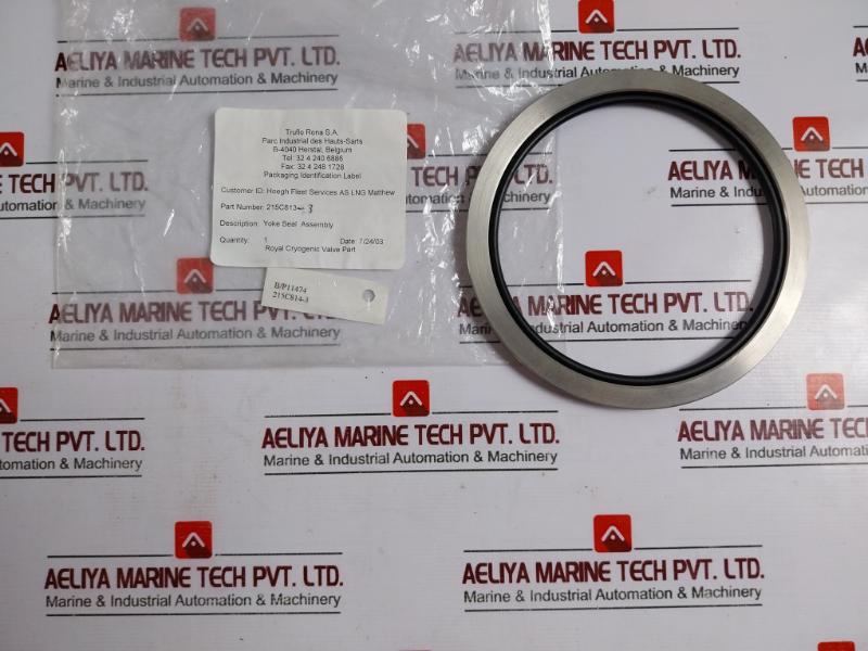 Truflo Rona Ms 35769-31 Actuator Repair Kit Seal