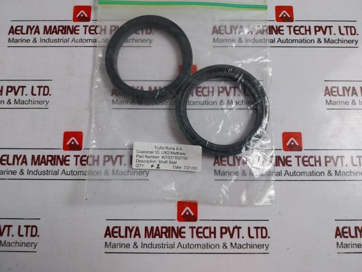 Truflo Rona Ms 35769-31 Actuator Repair Kit Seal