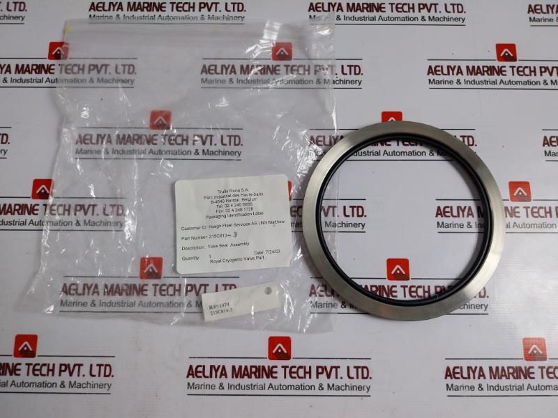 Truflo Rona Ms 35769-31 Actuator Repair Kit Seal