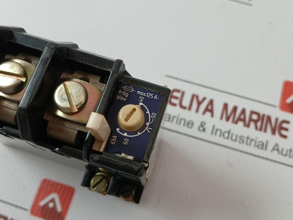 Tsa 63 P Thermal Overload Relay Elester