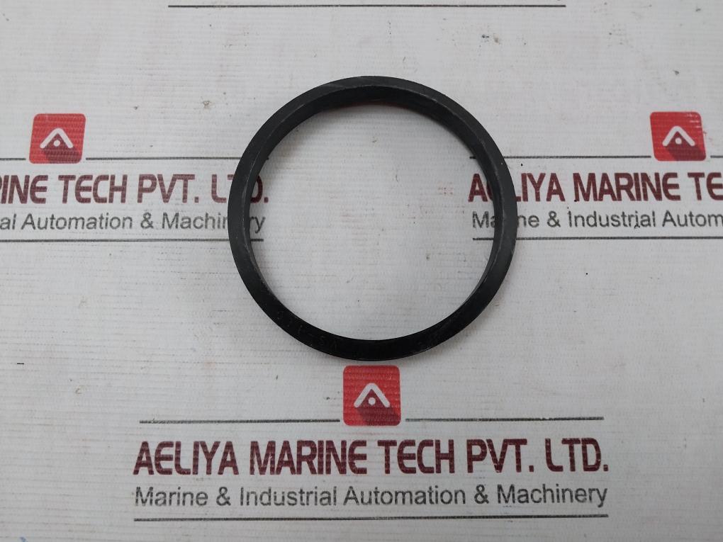 Tsc 091-0070 Iron Roughneck O-ring Vs-110