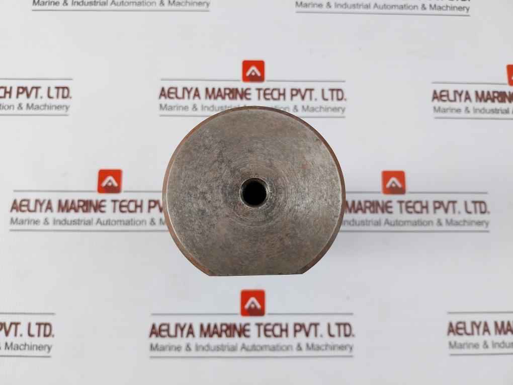 Tsc 21407-dd-110303 Cylinder Pivot Pin-30204422