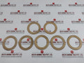Tsc Tcm021-12 Stator Disc Spring Kit 2410160000457
