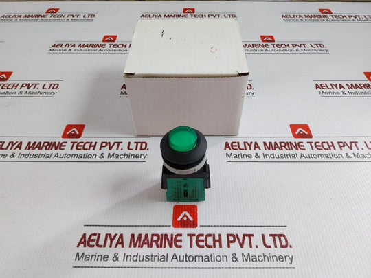 Tsen I Illuminated Metal Flush Push Button 125V Ac, 15A Ts-a