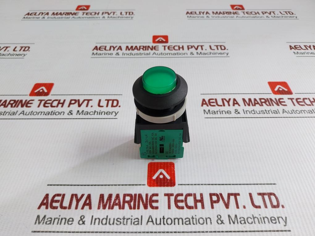 Tsen I Illuminated Metal Flush Push Button 125V Ac, 15A Ts-a