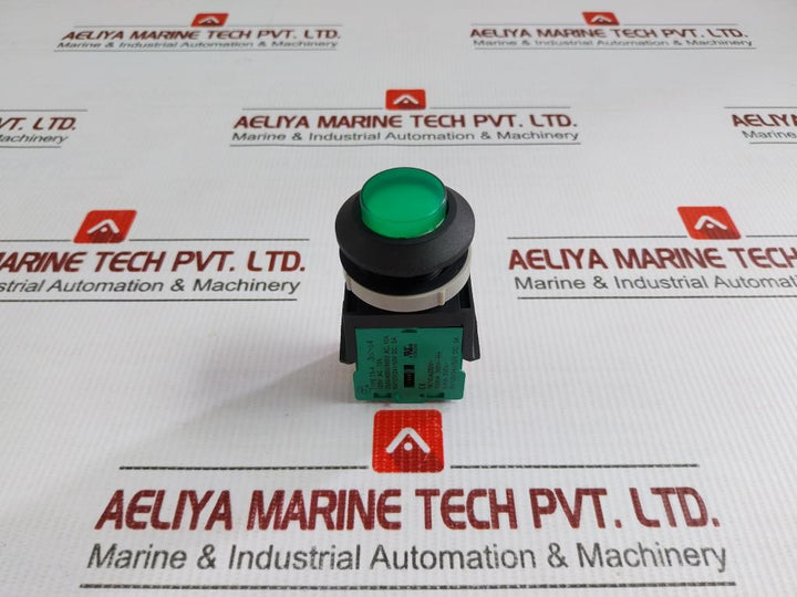 Tsen I Illuminated Metal Flush Push Button 125V Ac, 15A Ts-a