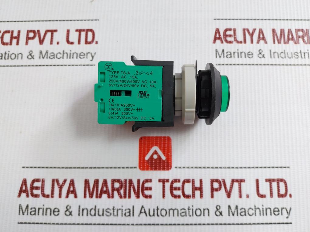 Tsen I Illuminated Metal Flush Push Button 125V Ac, 15A Ts-a