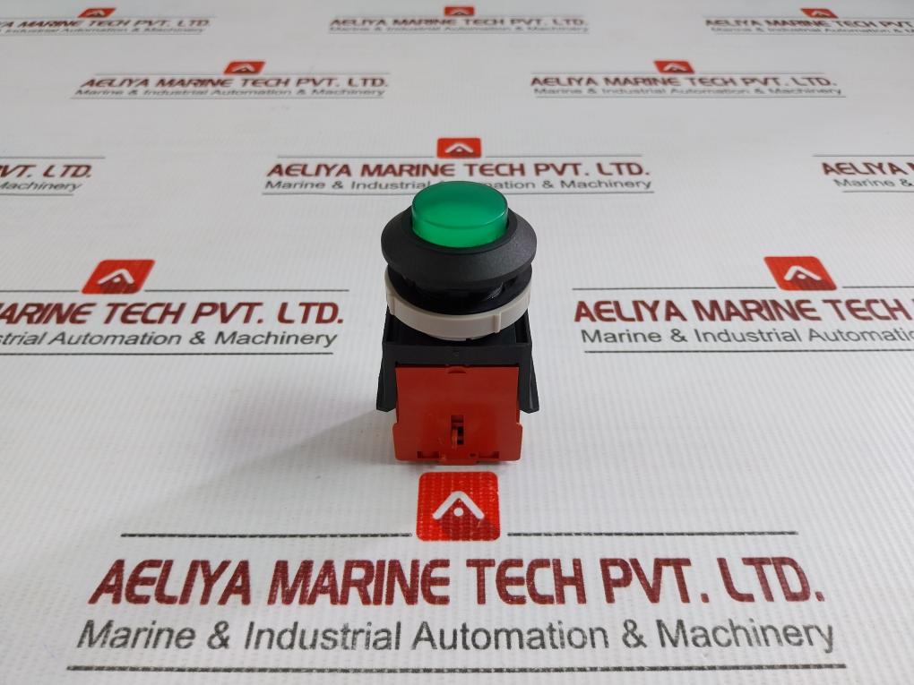 Tsen I Illuminated Metal Flush Push Button 125V Ac, 15A Ts-a