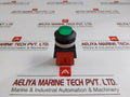 Tsen I Illuminated Metal Flush Push Button 125V Ac, 15A Ts-a
