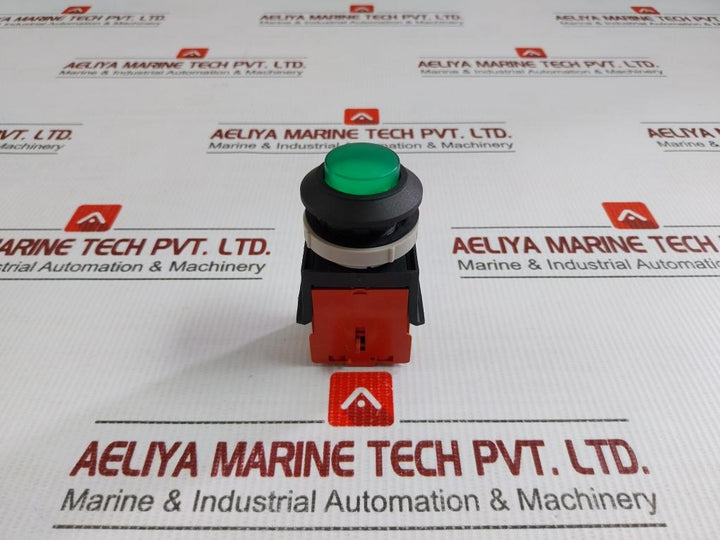 Tsen I Illuminated Metal Flush Push Button 125V Ac, 15A Ts-a