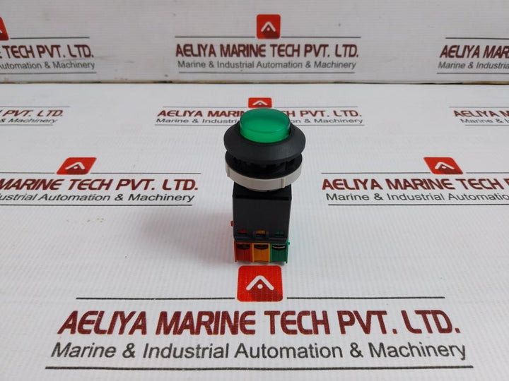 Tsen I Illuminated Metal Flush Push Button 125V Ac, 15A Ts-a