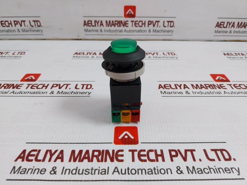 Tsen I Illuminated Metal Flush Push Button 125V Ac, 15A Ts-a