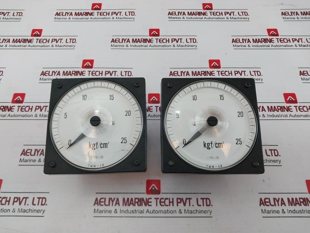 Tsuruga Electric Tmw-4B Pressure Indicator K6370871 Dc4-20Ma