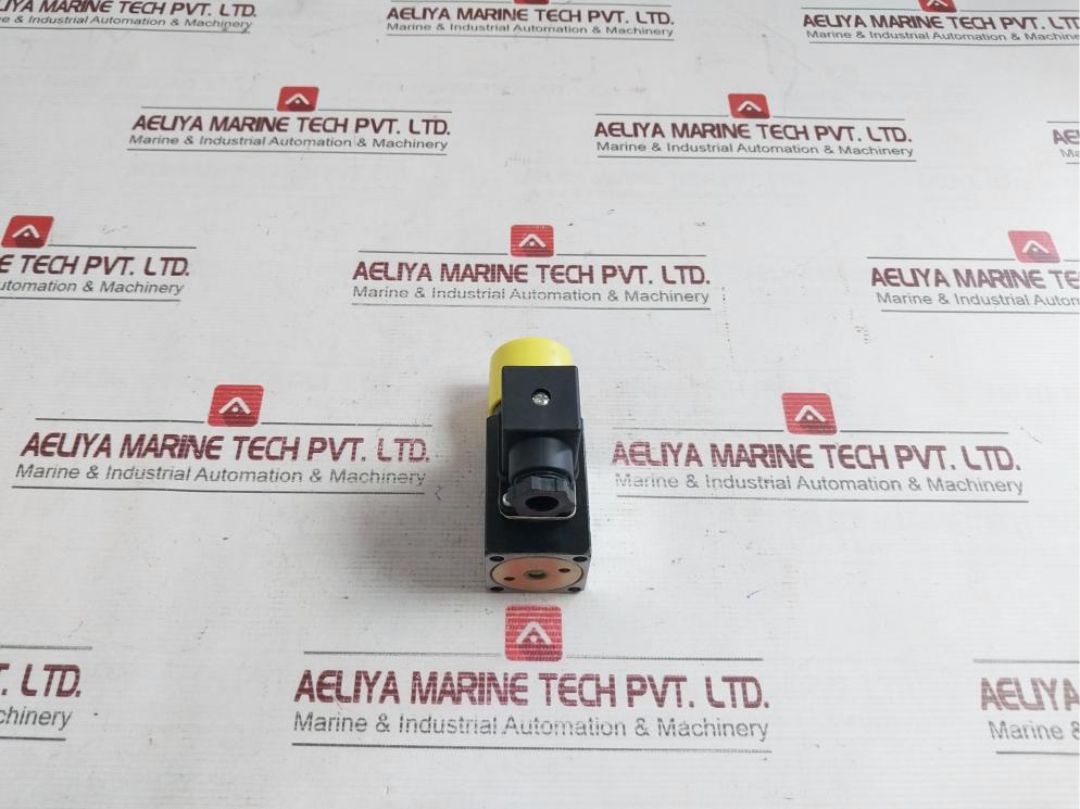 Tts 10001167 Pressure Switch Max.24V Dc 5A Pv=5-55Bar