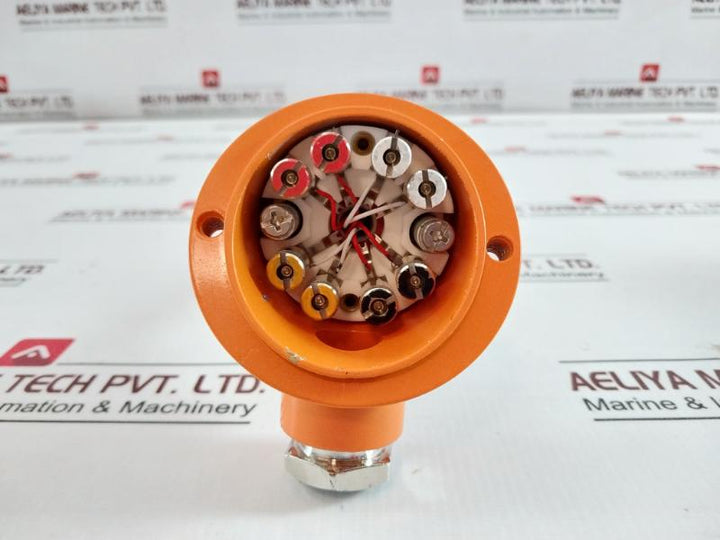 Tuvo Pt-1.2x4 Wire Temperature Sensor Thermometer 145541-1 -0 C/+ 250 C