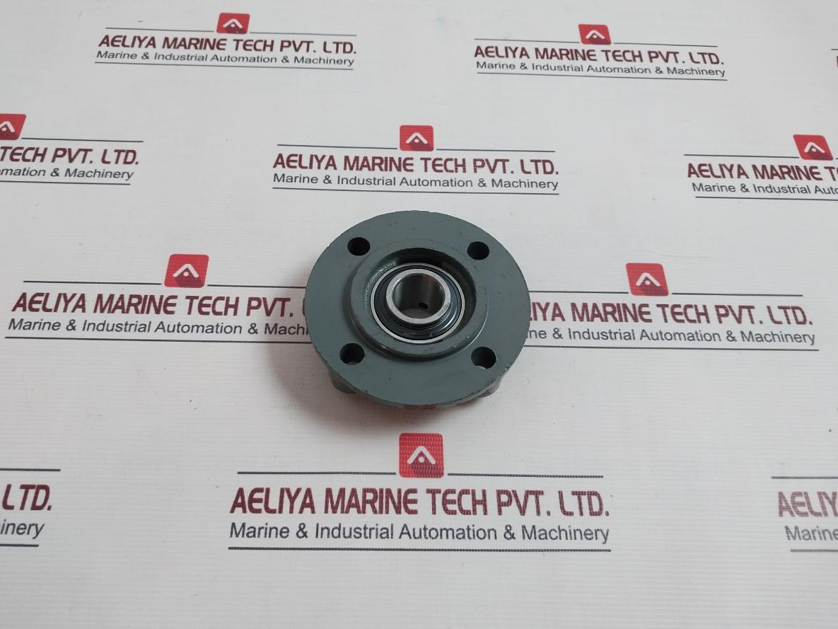 Tyb Fc205 Flange Block Bearing