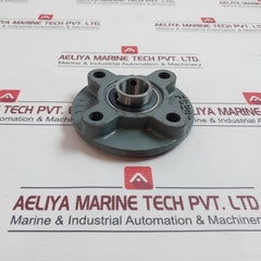 Tyb Fc205 Flange Block Bearing