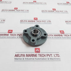 Tyb Fc205 Flange Block Bearing