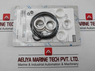 Tyco 2008769 Repair Kit For F790-200 Pneumatic Actuator
