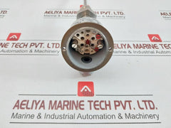 Resistance Temperature Detector Pt100 Uteco