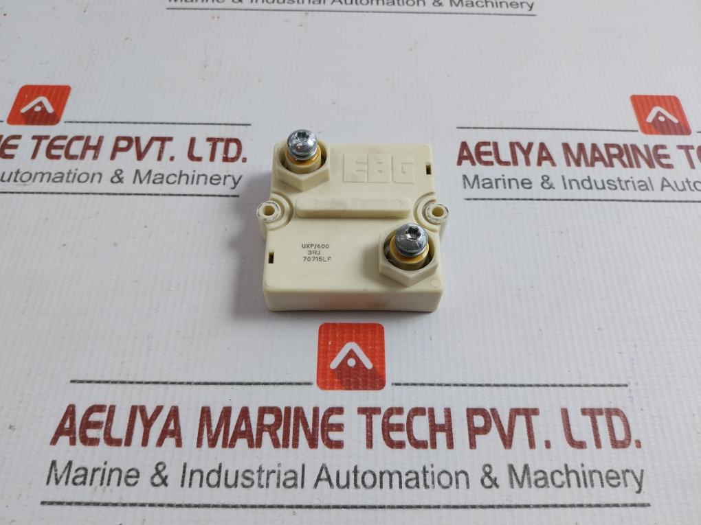 Uxp/600 Ultra High Power Resistor Ebg