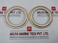Valqua 304 Flange Gasket