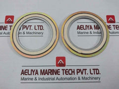 Valqua 304 Flange Gasket