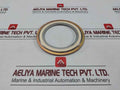 Valqua 304 Flange Gasket