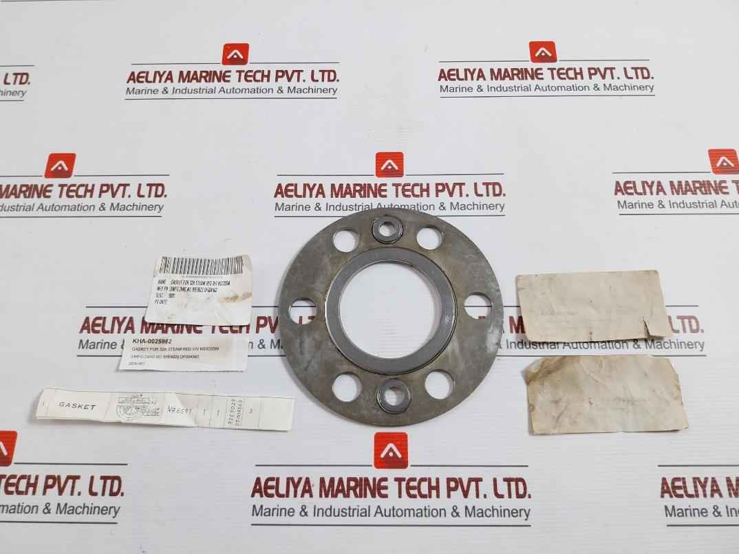 Valqua 6591 Gasket For 32A Steam Red. V/V Ns500Sm