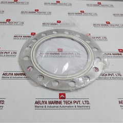 Valqua 8596Vl Stainless Steel Clean Tight For Boiler Mounting Pipe
