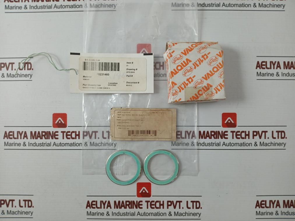 Valqua F0231460 Gasket/Green Tight 300-25A Af03-0035