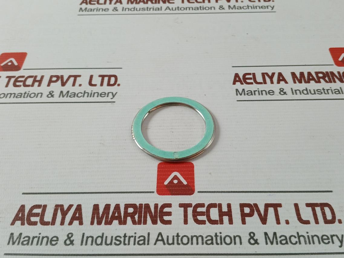 Valqua F0231460 Gasket/Green Tight 300-25A Af03-0035