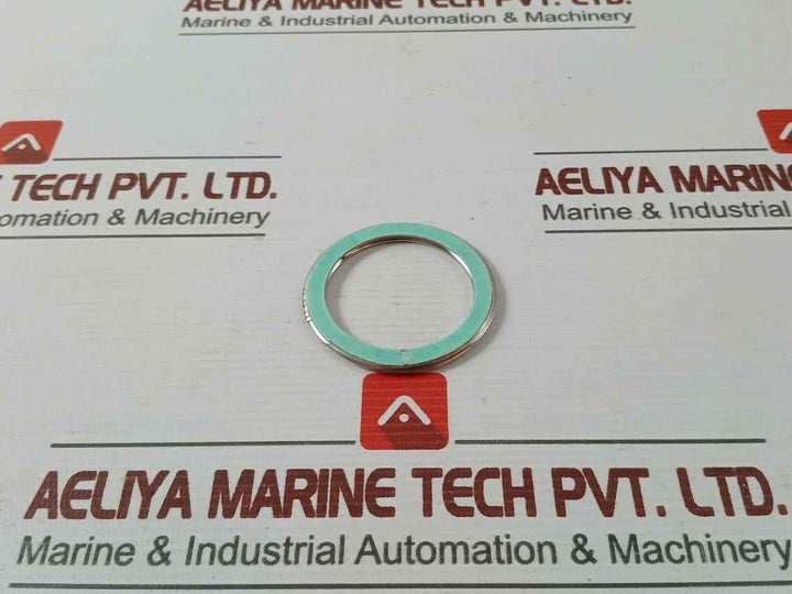 Valqua F0231460 Gasket/Green Tight 300-25A Af03-0035