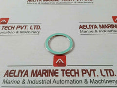 Valqua F0231460 Gasket/Green Tight 300-25A Af03-0035