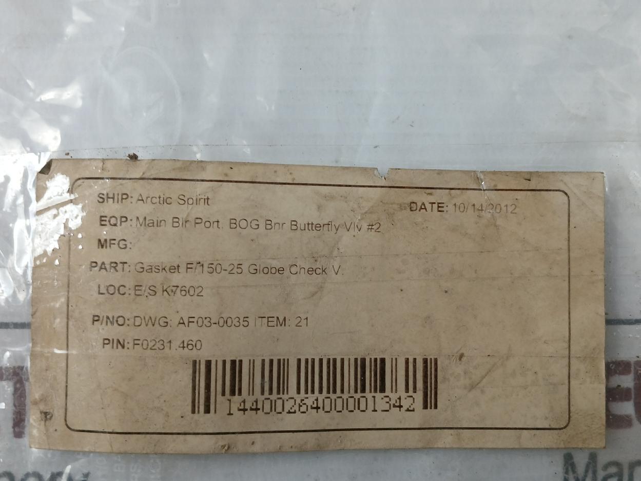 Valqua F0231460 Gasket/Green Tight 300-25A Af03-0035