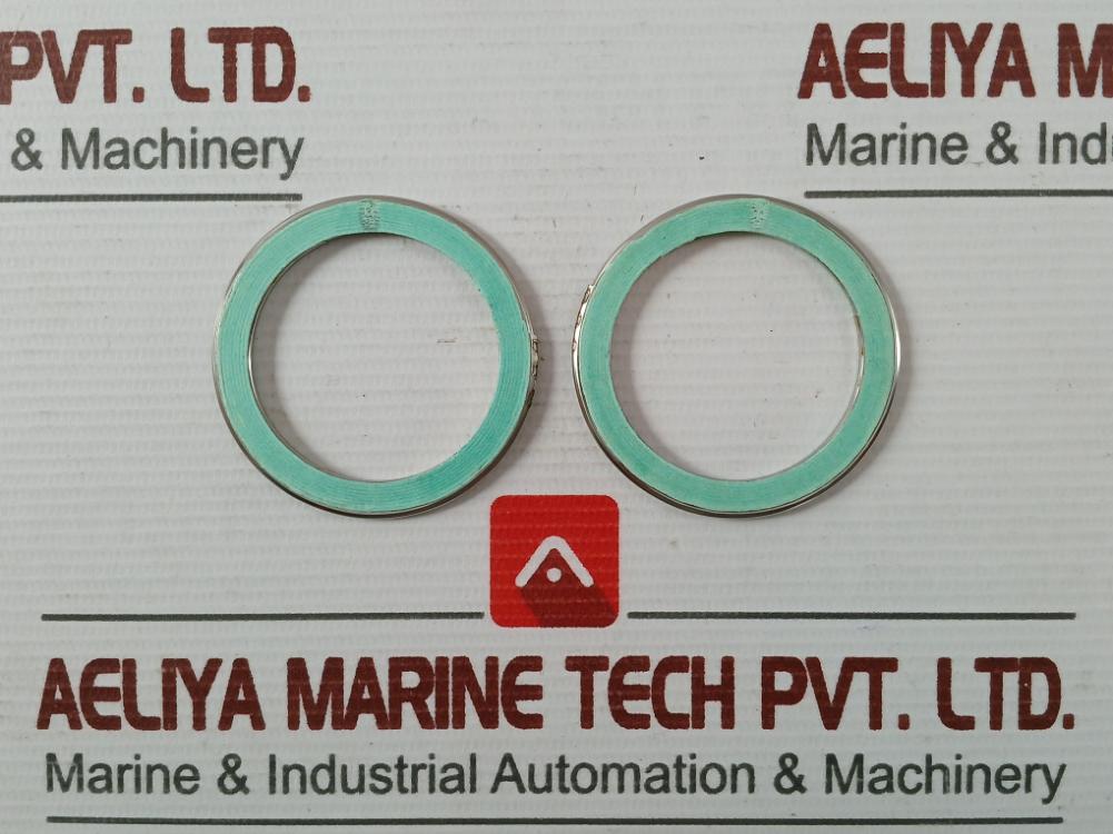 Valqua F0231460 Gasket/Green Tight 300-25A Af03-0035