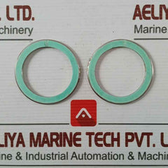 Valqua F0231460 Gasket/Green Tight 300-25A Af03-0035