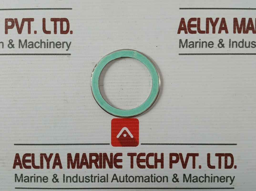 Valqua F0231460 Gasket/Green Tight 300-25A Af03-0035