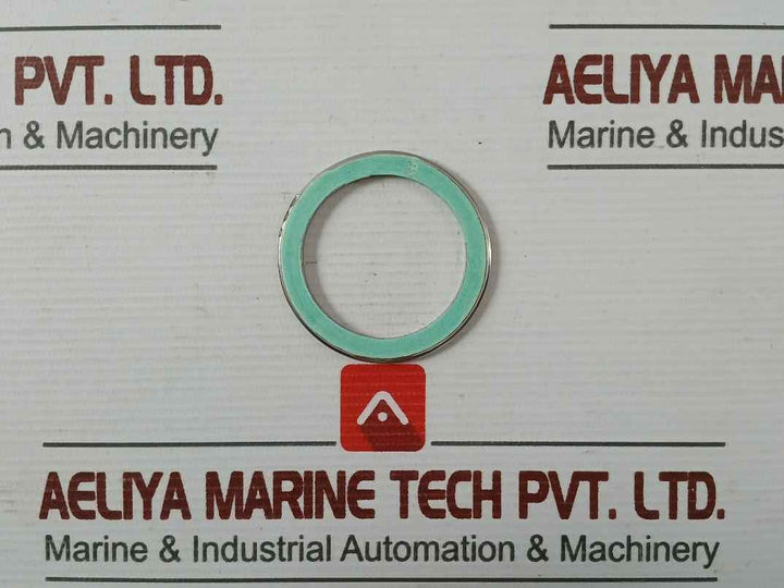 Valqua F0231460 Gasket/Green Tight 300-25A Af03-0035