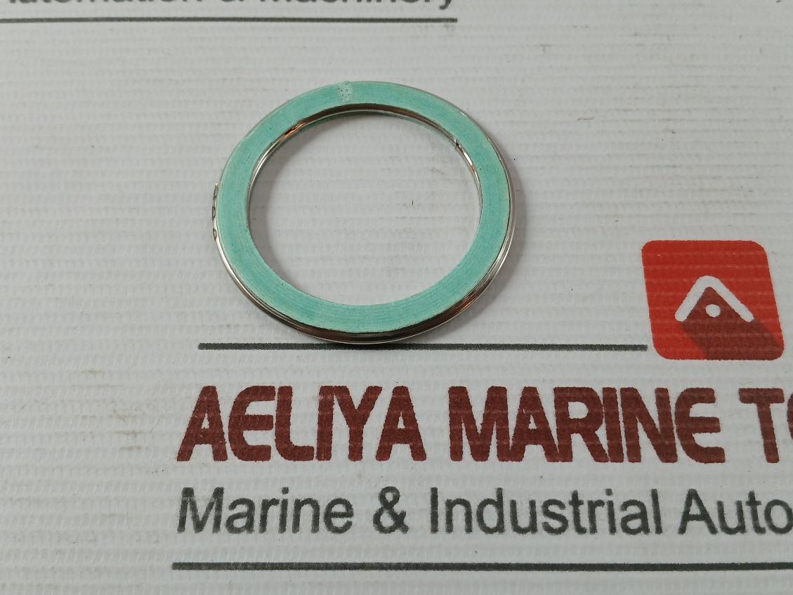 Valqua F0231460 Gasket/Green Tight 300-25A Af03-0035