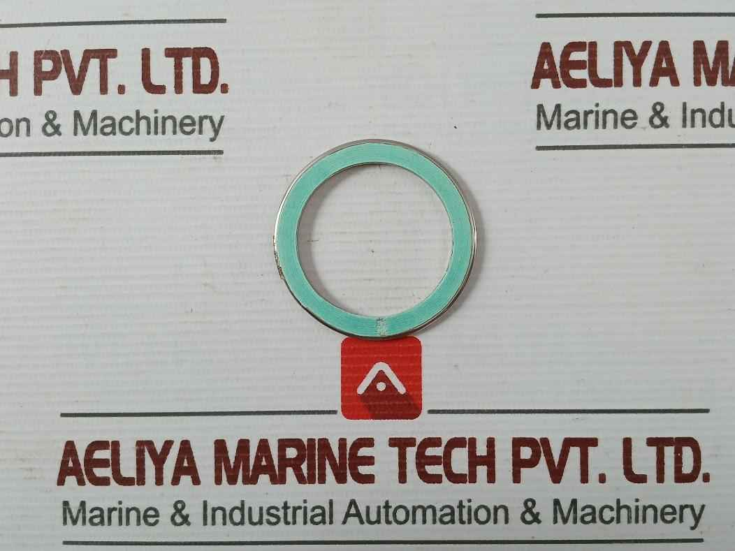 Valqua F0231460 Gasket/Green Tight 300-25A Af03-0035